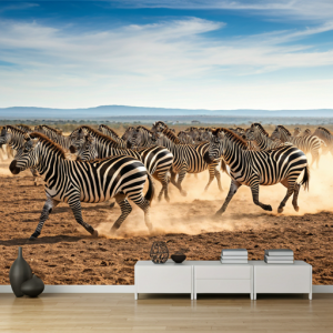 A herd of zebras galloping across the savanna 3d wallpaper