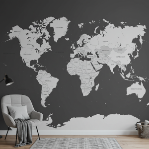 Detailed Political Map (Monochrome) Wallpaper Mural