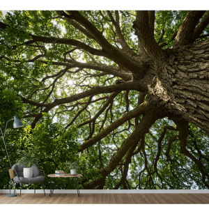 Giant Tree Canopy 3D wallpaper mural. Looking up into the dense leaves and branches of an enormous tree.