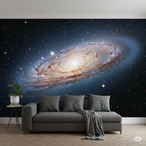 Spiral Galaxy Wallpaper Mural. A classic image of a distant galaxy with its characteristic arms and bright core.