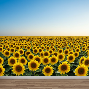 Sunflower Field 3D Mural