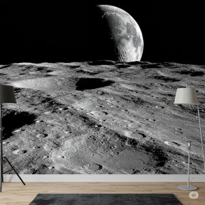 The Moon's Surface 3d Wallpaper Mural.