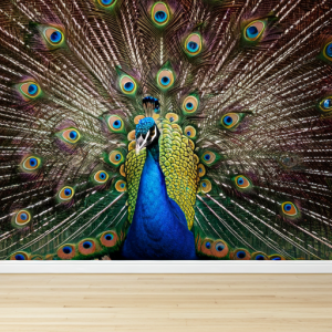 Photorealistic peacock wallpaper mural