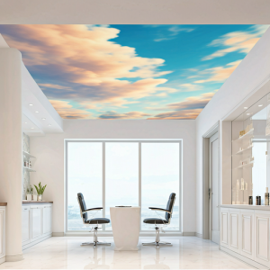 3d clouds beauty salon ceiling wallpaper mural