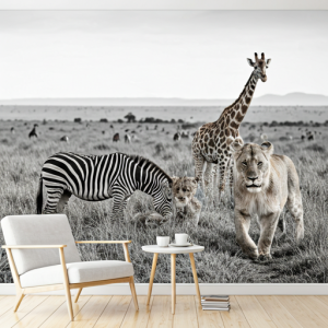 Black and white Kenya Wildlife, nature wallpaper.