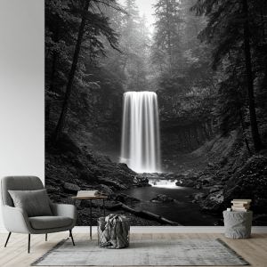 Black and white forest waterfall wallpaper mural