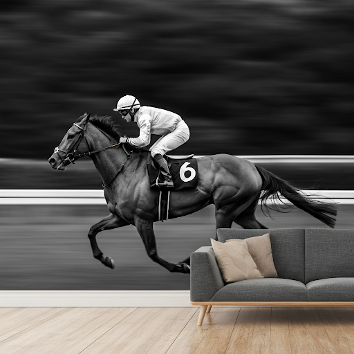 Black and white racing horse wallpaper mural Black and white racing horse wallpaper mural