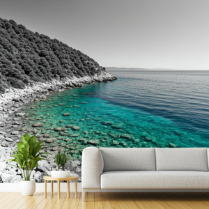 black and white coastal landscape wallpaper mural