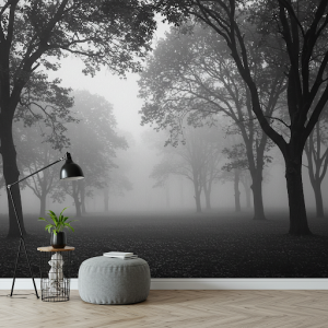 black and white trees fade into a misty background, creating a sense of depth and mystery, wallpaper mural.