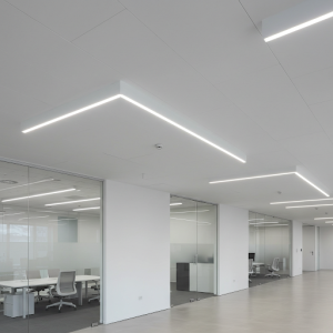 Minimalist office ceiling design.