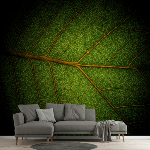 Magnifying the leaf's veins' microscopic nature, an indoor decorative mural art.
