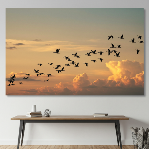 Soaring birds against expansive skies, nature wall art.