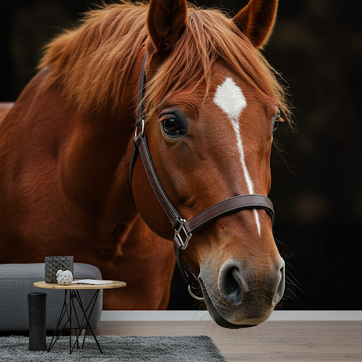 a close-up portrait of a horse custom wallpaper printing
