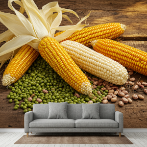 Maize cobs and beans (Githeri ingredients) wallpaper mural.