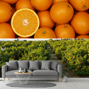 orange fruit wallpaper mural
