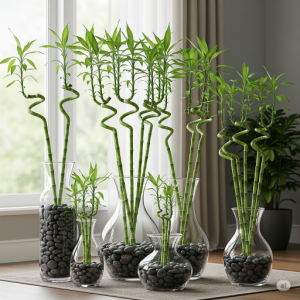 Classic and elegant indoor bamboo décor