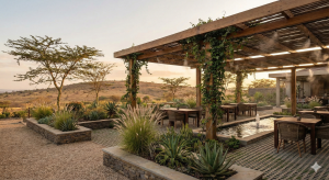 An up-market restaurant landscape that feels distinctly Kenyan, saves water (xeriscaping), and actively cools the micro-climate of the dining space.