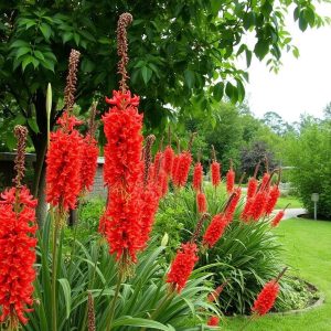 Outdoor restaurant garden with Nandi Flame at perimeter