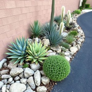 The Hell Strip Rockery