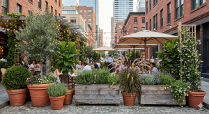 Urban Centre Outdoor Restaurant Plants